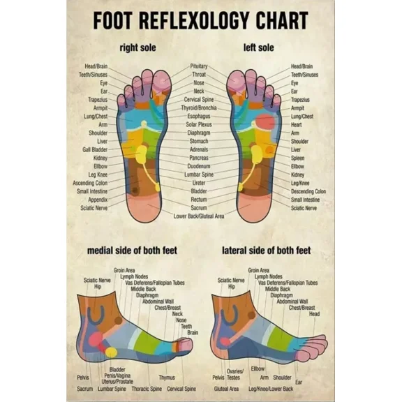 Kna Prints - Massage Poster - Massage Therapistoot Reflexology Chart Wrapped Poster.. For Home Decor, Living Room, Bedroom, Office, UNFRAMED-8x12