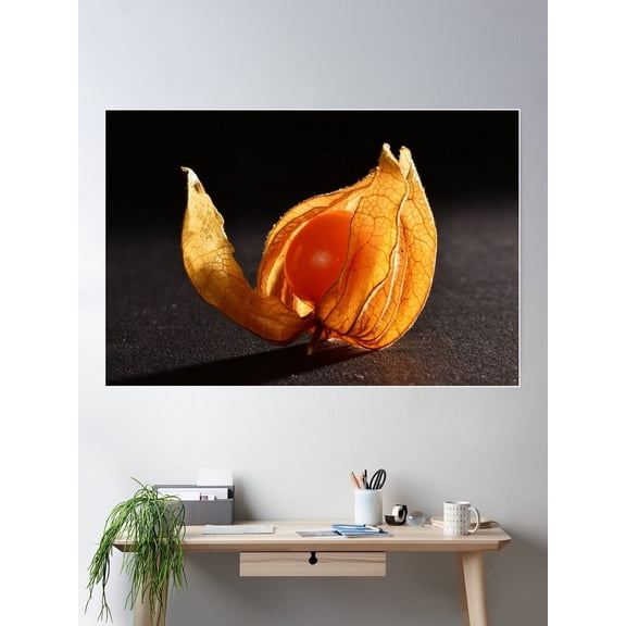 Kna Prints - Physalis 2.0 Fruits Art Gallery Picture For Home Decor, Living Room, Bedroom, Office, UNFRAMED-8x12