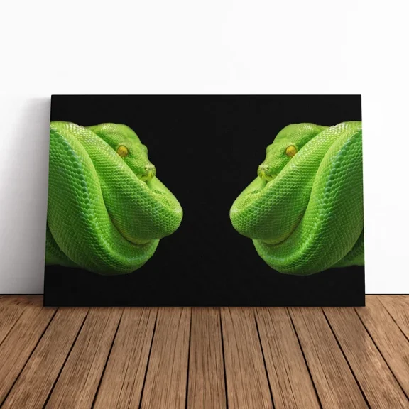 Kna Prints - Poster Green Tree Python Snake 2 Picture Decor Living Room, UNFRAMED-12x18