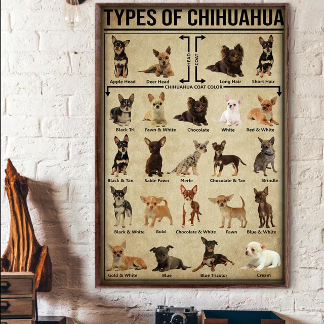 Kna Prints - Poster Types Of Chihuahua Knowledge Dog Poster, UNFRAMED ...
