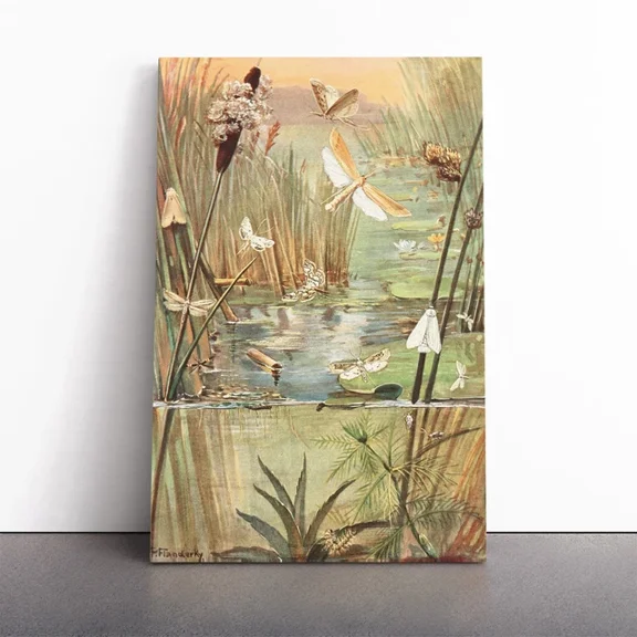 Kna Prints - Poster Vintage Paul Flanderky German Water-Insects Picture, UNFRAMED-8x12