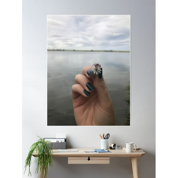 Kna Prints - Swan Lake Poster, UNFRAMED-16x24