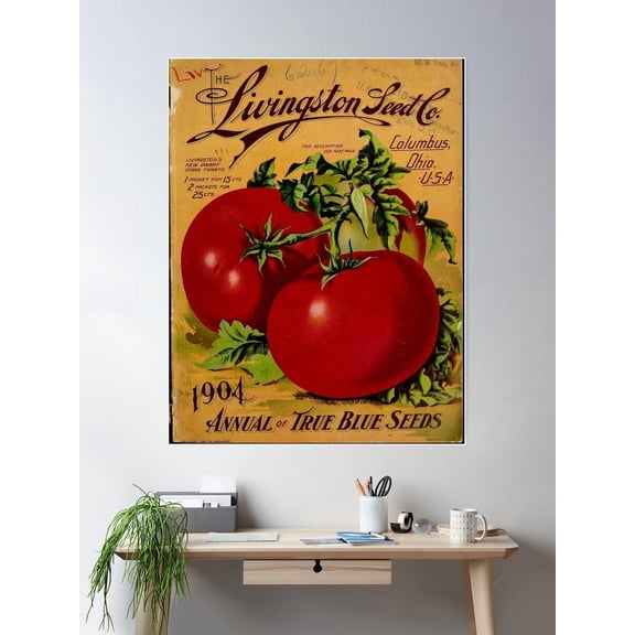 Kna Prints - Vintage Tomato Poster, Digital Print Poster Wall Art, Modern Wall Decor For Living Room Bedroom, UNFRAMED-8x12