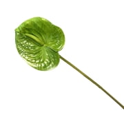 Kna Realistic Anthurium Floral Silk For Home And Arrangements