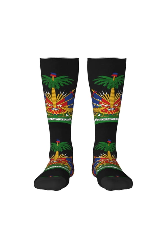 Knee High Socks for Women 鈥宧aitians Coat Of Arms Long Tube Sock Uniform Socks