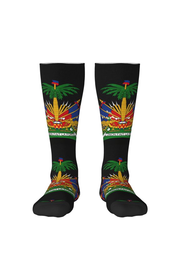 Knee High Socks for Women 鈥宧aitians Coat Of Arms Long Tube Sock Uniform Socks