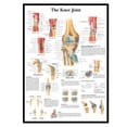Medical Human Chart The Knee Joint Medical Poster Wall Art - Human Anatomy Picture Chart ...