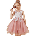 thumbnail image 1 of Knee Length Flower Girl Dress for Wedding Kids Tulle Princess Long Dresses Father Daughter Dance Girls Vestidos Lace Embroidery ( 2 -3Years）, 1 of 10