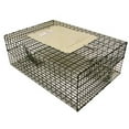 thumbnail image 1 of Kness Kage-All  Sparrow Live Animal Trap, 1 of 1
