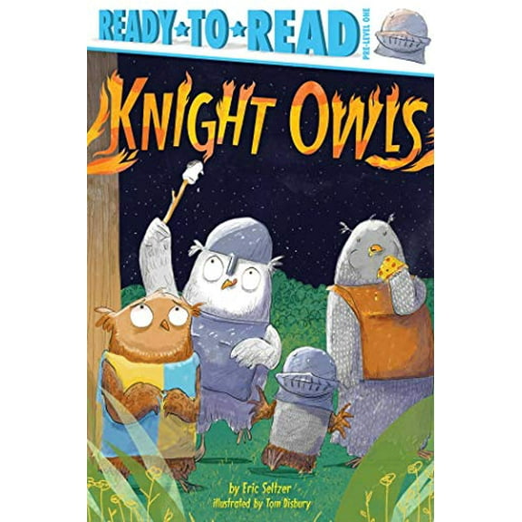 Pre-Owned Knight Owls: Ready-To-Read Pre-Level 1 (Paperback) 1534448802 9781534448803