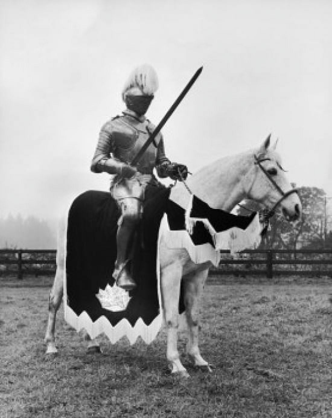 Knight in armor riding a horse Canvas Art - (18 x 24)