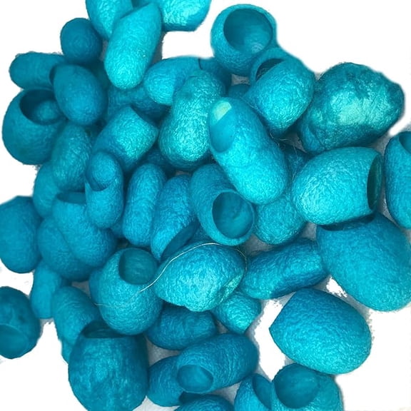 Knitsilk Hand Dyed Silk Cocoons, Silk Cut Cocoons, Mulberry Silk Fibres, Selection Pack of 30 Cut Silk Cocoons (Aqua blue)