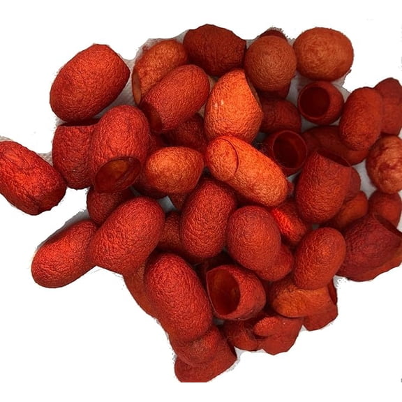 Knitsilk Hand Dyed Silk Cocoons, Silk Cut Cocoons, Mulberry Silk Fibres, Selection Pack of 30 Cut Silk Cocoons (Orange)