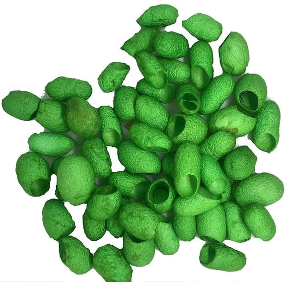 Knitsilk Mulberry Silk Fibres, Silk Cocoons, Silk Cut Cocoons, Selection Cut Cocoons (Parrot green) Pack of 3-90 pcs)