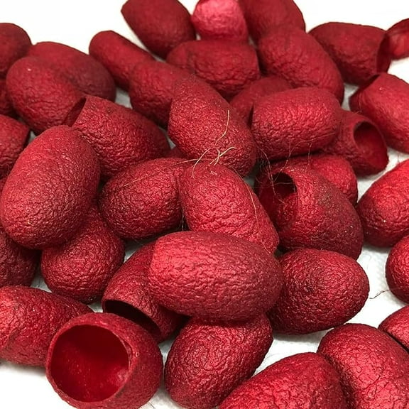 Knitsilk Mulberry Silk Fibres, Silk Cocoons, Silk Cut Cocoons, Selection Cut Cocoons (Red) Pack of 3-90 pcs)