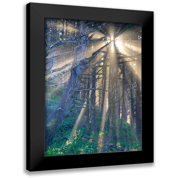 Knoble 19x24 Black Modern Framed Museum Art Print Titled - Hobbit Trail I