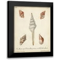 thumbnail image 1 of Knorr 12x14 Black Modern Framed Museum Art Print Titled - Antique Knorr Shells IX, 1 of 5