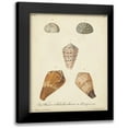 thumbnail image 1 of Knorr 20x24 Black Modern Framed Museum Art Print Titled - Antique Knorr Shells I, 1 of 5