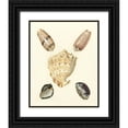thumbnail image 1 of Knorr 20x24 Black Ornate Wood Framed with Double Matting Museum Art Print Titled - Knorr Shells IV, 1 of 4