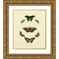 thumbnail image 1 of Knorr 26x30 Gold Ornate Wood Framed with Double Matting Museum Art Print Titled - Knorr Butterflies III, 1 of 4