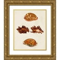thumbnail image 1 of Knorr, G.W. 12x14 Gold Ornate Wood Framed with Double Matting Museum Art Print Titled - Knorr Shells VIII, 1 of 4