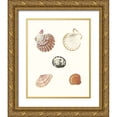 thumbnail image 1 of Knorr, G.W. 12x14 Gold Ornate Wood Framed with Double Matting Museum Art Print Titled - Pastel Knorr Shells VIII, 1 of 4