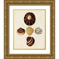 thumbnail image 1 of Knorr, G.W. 15x18 Gold Ornate Wood Framed with Double Matting Museum Art Print Titled - Knorr Shells V, 1 of 4