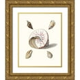 thumbnail image 1 of Knorr, G.W. 26x32 Gold Ornate Wood Framed with Double Matting Museum Art Print Titled - Pastel Knorr Shells II, 1 of 4