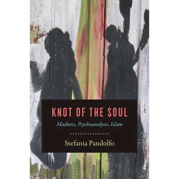 Knot of the Soul : Madness, Psychoanalysis, Islam (Hardcover)