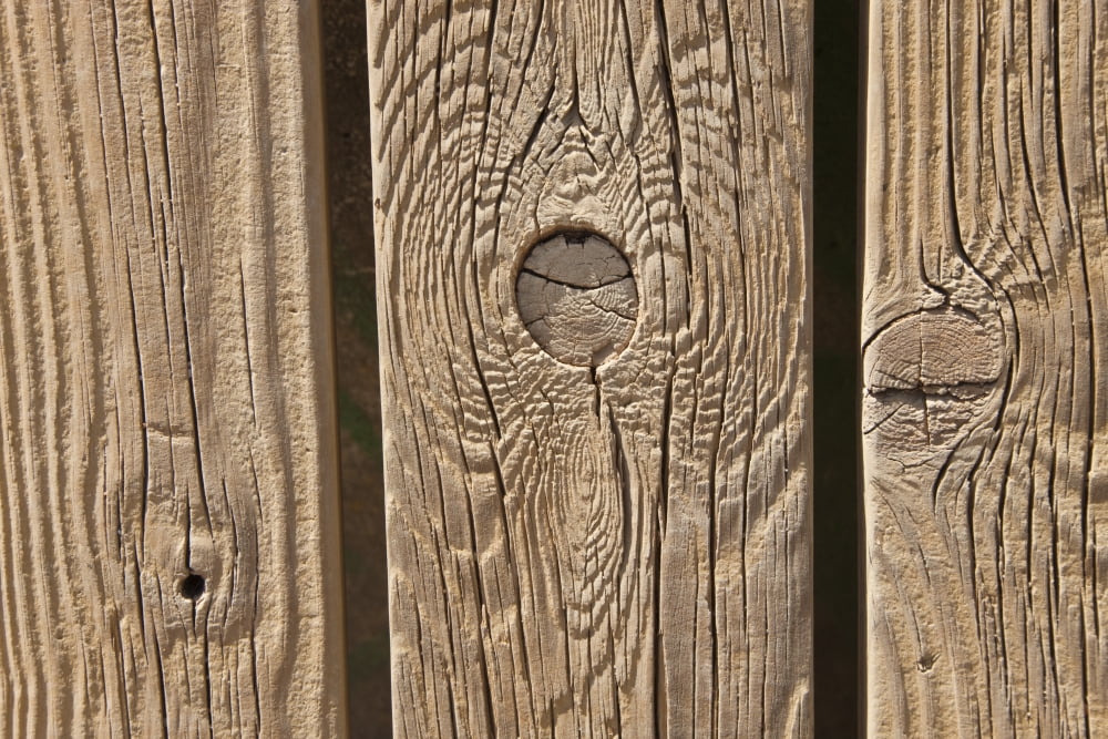 Knots In Planks Of Wood Canvas Art - Ken Welsh Design Pics (36 x 24)