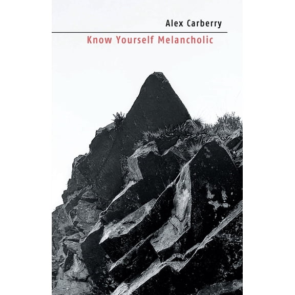 Know Yourself: The Temperaments Know Yourself: Discover Your Temperament with the Ancient Sufi Wisdom, Book 4, (Paperback)