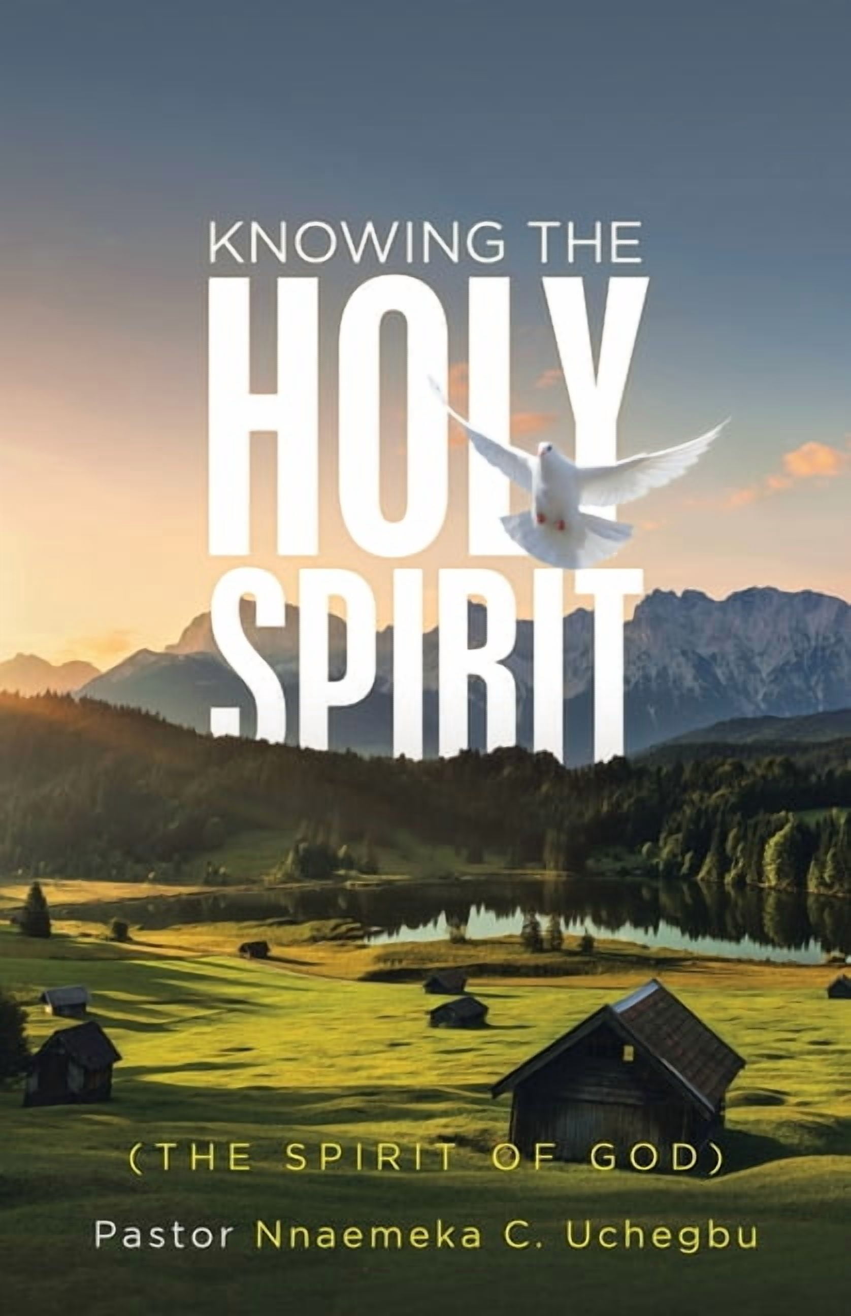 Knowing the Holy Spirit: (The Spirit of God), (Paperback) - Walmart.com