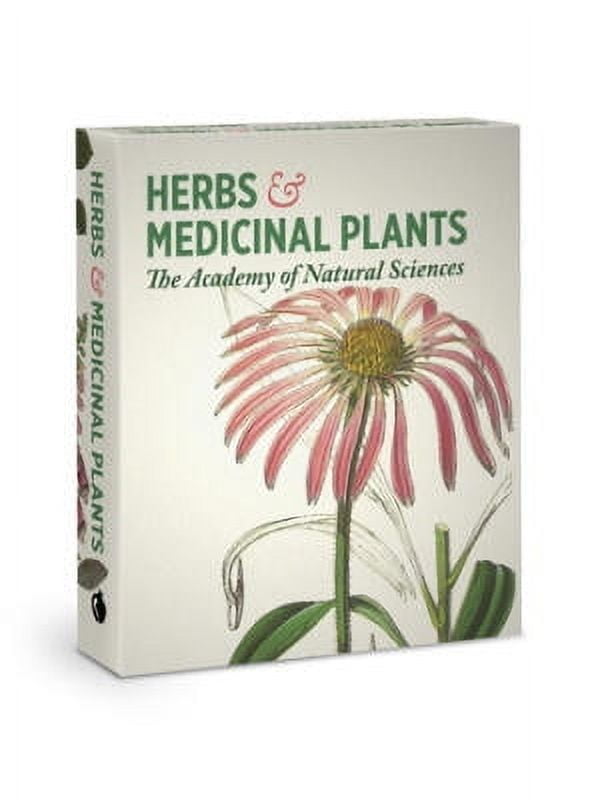 Herbs and Medicinal Plants Knowledge Cards with Botanical Illustrations