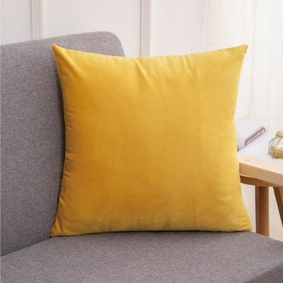 Knubmt 1 Pack Soft Velvet Throw Pillow Covers Decorative Square Cushion Covers for Office Couch Sofa Bedroom Living Room, 16x16inch