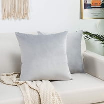 Knubmt 2 Pack Square Throw Pillow Covers with Zipper, Decorative Soft Velvet Pillows Case Cushion Case for Couch Sofa Bed, 16 x 16 inches