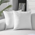 thumbnail image 1 of Knubmt 2 Pcs Decorate Soft Velvet Throw Pillow Covers Solid Square Pillow Cases Cushion Covers for Sofa Car Office Living Room, 16x16inch, 1 of 6