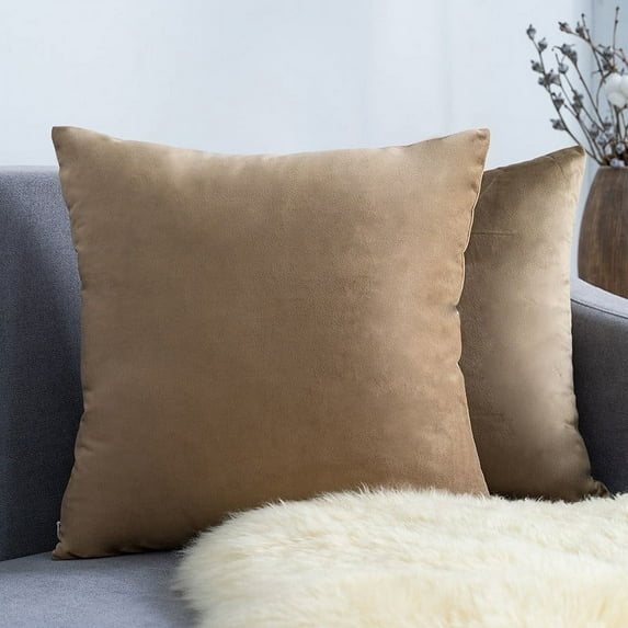 Knubmt 2 Pcs Decorate Soft Velvet Throw Pillow Covers Solid Square Pillow Cases Cushion Covers for Sofa Car Office Living Room, 20x20inch