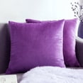 thumbnail image 1 of Knubmt 2 Pcs Decorate Soft Velvet Throw Pillow Covers Solid Square Pillow Cases Cushion Covers for Sofa Car Office Living Room, 20x20inch, 1 of 6