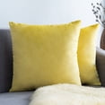 thumbnail image 1 of Knubmt 2 Pcs Decorate Soft Velvet Throw Pillow Covers Solid Square Pillow Cases Cushion Covers for Sofa Car Office Living Room, 24x24inch, 1 of 7
