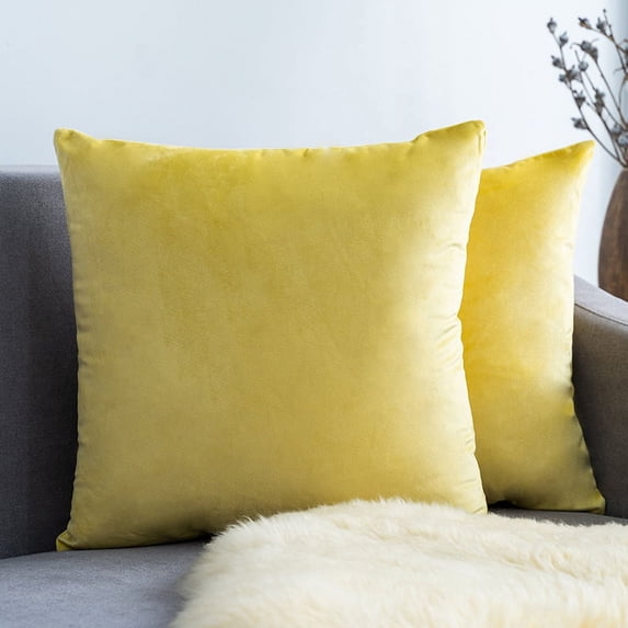 Knubmt 2 Pcs Decorate Soft Velvet Throw Pillow Covers Solid Square Pillow Cases Cushion Covers for Sofa Car Office Living Room, 24x24inch