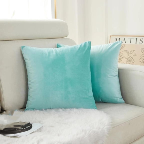 Knubmt 2 Pcs Velvet Soft Throw Pillow Covers Solid Color Pillowcase Decorative Square Cushion Case for Sofa Bedroom Car, 16x16 inch