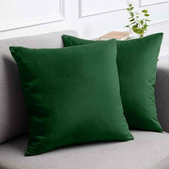 Knubmt 2 Pcs Velvet Throw Pillow Covers with Zipper, Decorative Cushion Covers Modern Solid Color Pillow Cases for Living Room, Car, Office, 20x20inch