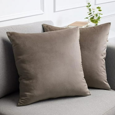 Knubmt 2 Pcs Velvet Throw Pillow Covers with Zipper, Decorative Cushion Covers Modern Solid Color Pillow Cases for Living Room, Car, Office, 16x16inch