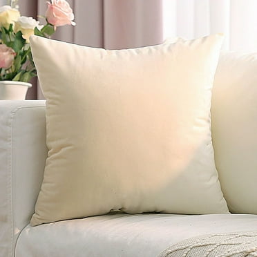 Knubmt Pack of 1 Velvet Throw Pillow Cover Decorative Pillow Case Square Cushion Cover for Sofa Office Bed Chair, 16"x16"