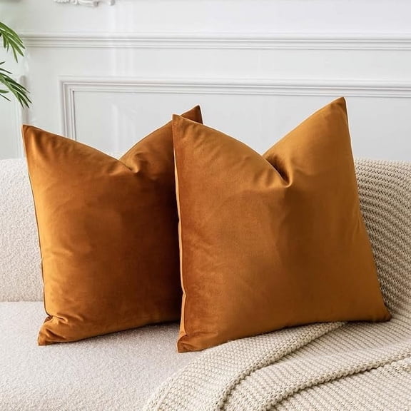 Knubmt Pack of 2 Solid Color Throw Pillow Covers with Zipper, Decorative Pillow Case Soft Velvet Couch Pillow Case for Sofa Bedroom Car, 16 x 16 Inch