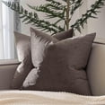 thumbnail image 1 of Knubmt Pack of 2 Solid Color Throw Pillow Covers with Zipper, Decorative Pillow Case Soft Velvet Couch Pillow Case for Sofa Bedroom Car, 16 x 16 Inch, 1 of 8