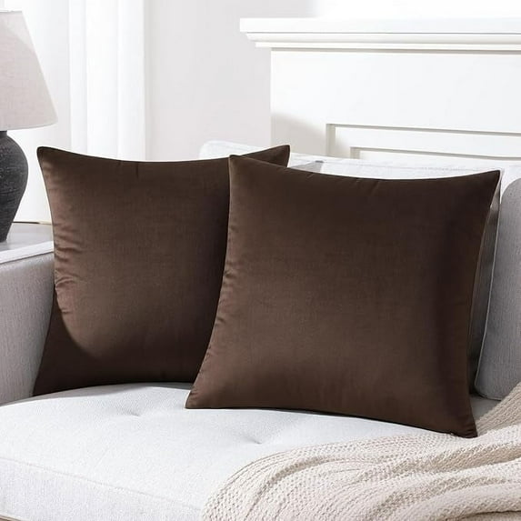 Knubmt Pack of 2 Velvet Throw Pillow Covers with Zipper, Soft Decorative Cushion Covers Square Pillow Cases for Couch Bed Sofa, 24x24 Inch