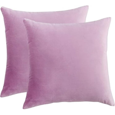 Knubmt Set of 2 Decorative Throw Pillow Covers Solid Color Soft Velvet Square Pillow Cases Cushion Covers for Sofa Bed Car, 16x16 Inch