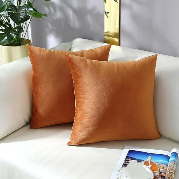 Knubmt Set of 2 Decorative Velvet Throw Pillow Covers Super Soft Cushion Cases Pillowcases for Sofa Couch Bedroom Living Room, 20x20 inch