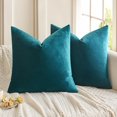 thumbnail image 1 of Knubmt Set of 2 Decorative Velvet Throw Pillow Covers with Zipper, Solid Color Pillow Covers Cushion Covers for Couch, Sofa, Chair, 18x18inch, 1 of 9